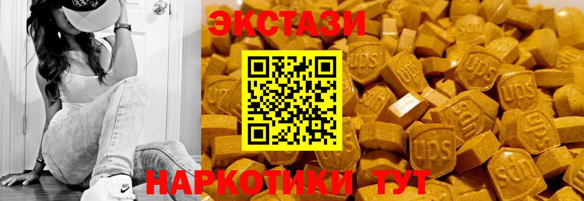 Вязьма  Ecstasy Philipp Plein  Ecstasy  Вход с VPN 