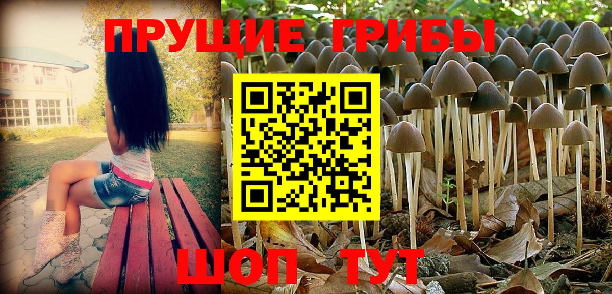 Псилоцибиновые грибы ЛСД  Вход с VPN  Вязьма 